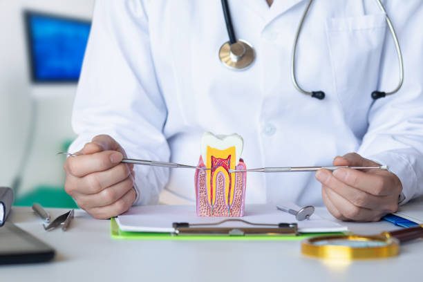 Best Broken or Chipped Tooth Repair in Kenwood, OH
